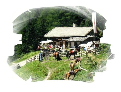 Almhütte im Pustertal in Südtirol